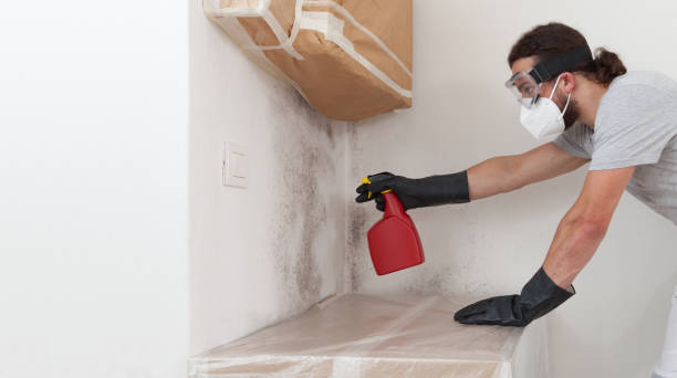 Professional Mold Removal technician working in Beverly, NJ