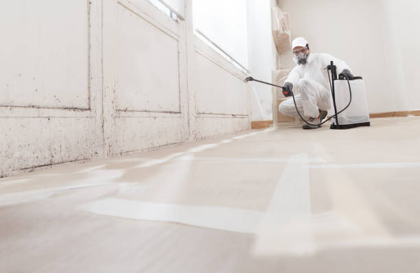 24/7 Emergency Mold Removal experts in Beverly, NJ